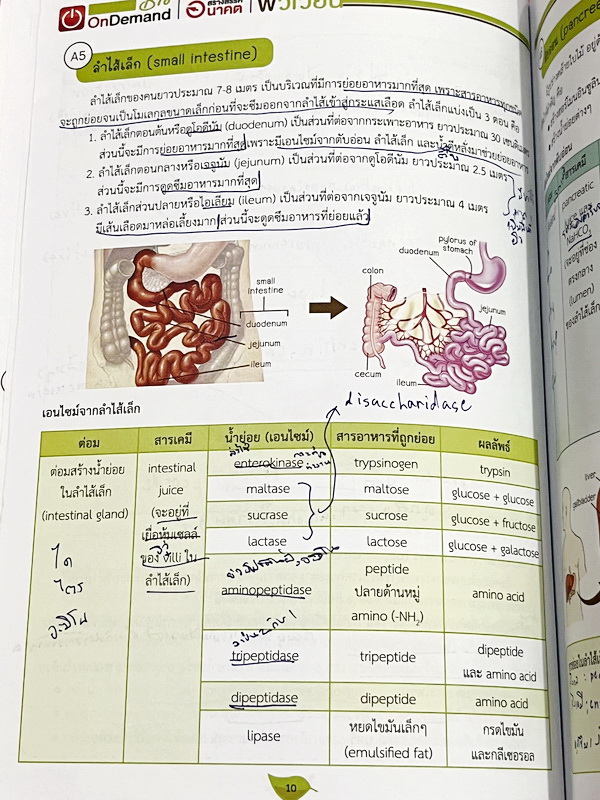 ►ออนดีมานด์◄ Set หนังสือเรียนพิเศษ + ไฟล์เฉลย วิชาวิทยาศาสตร์ ม.ต้น ชีววิทยาพี่วิเวียน เล่ม 1-8 ครบเซ็ท 8 เล่ม ครอบคลุมเนื้อหาตั้งแต่ระดับชั้นม.ต้น ม.1-2-3 เนื้อหายากลึกถึงสอบเข้า ม.4 โรงเรียนดัง จดบางหน้า จดละเอียด มีจดเทคนิคลัดการทำโจทย์ หนังสือพิมพ์สีใ