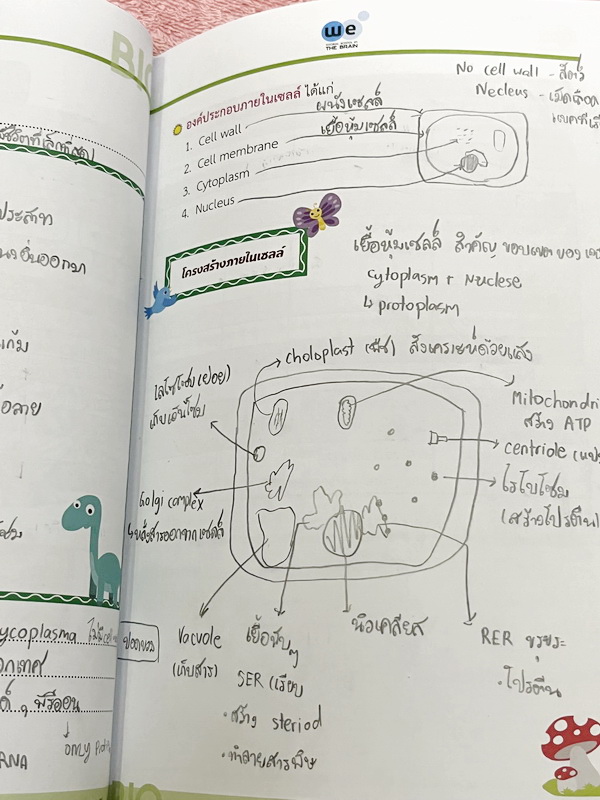 ►We Brain◄ หนังสือวีเบรน Biology For Junior ชีววิทยา ม.ต้น 5 เล่ม สรุปเนื้อหาระดับชั้นม.1-ม.3 มีโจทย์แบบทดสอบประจำบท เนื้อหาบางจุดที่เว้นไว้ให้เติมเอง จดบางหน้า จดละเอียด ไม่มีเฉลย หนังสือสภาพแทบใหม่เอี่ยม หนังสือพิมพ์สีสวยงาม