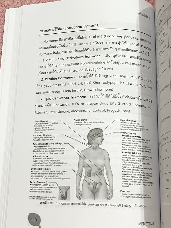 ►หนังสือรุ่นพี่เตรียมอุดม◄ หนังสือเตรียมลิขิต 3 เล่ม1-2 หนังสือสรุปเนื้อหาวิชาวิทยาศาสตร์ คณิตศาสตร์ วิชาภาษาอังกฤษ ภาษาไทย สังคมเพื่อเตรียมสอบเข้า ม.4 โดยรุ่นพี่นักเรียนเตรียมอุดมศึกษา ในหนังสือมีสรุปเนื้อหา โจทย์แบบทดสอบ มีให้สแกนเฉลยโจทย์ หนังสือมีเขีย