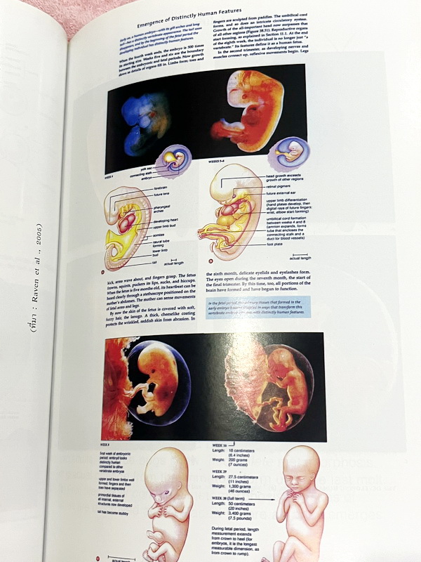 ►Eureka◄ หนังสือกวดวิชาชีววิทยา ม.ปลาย อ.เอกฤทธิ์ ยูเรก้า + สมุดโน้ตในคอร์สเรียน 1 เล่ม ในหนังสือเน้นภาพสี กราฟ ตาราง และแผนภาพเกี่ยวกับวิชาชีววิทยาในระดับชั้น ม.ปลายรวมทุกบท ส่วนใหญ่ใช้ภาษาอังกฤษ และภาษาละตินประกอบคำอธิบาย หนังสือเล่มหนาใหญ่ มีน้ำหนัก พิ