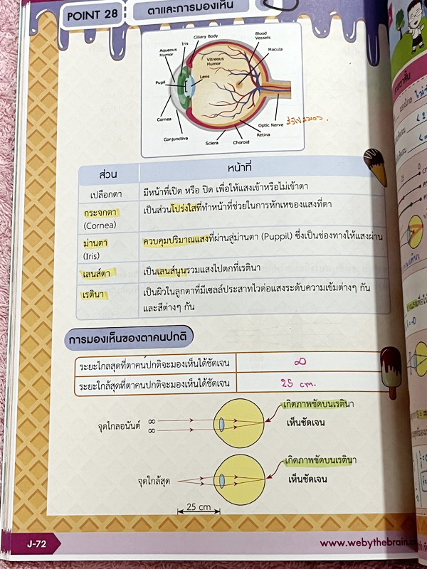 ►สอบเข้า MWIT◄ หนังสือกวดวิชาวีเบรน + ไฟล์เฉลย วิชาฟิสิกส์ ม.3 ติวเข้ม & ตะลุยโจทย์ฟิสิกส์เพื่อสอบเข้า ร.ร. มหิดลวิทยานุสรณ์ เล่ม 1-3 มีสรุปสูตรและเนื้อหาที่สำคัญ มีโจทย์ทดสอบประจำบท มี Main Idea หลักการทำโจทย์ เคล็ดวิชา เทคนิคลัด จุดที่ออกสอบบ่อย และมี E