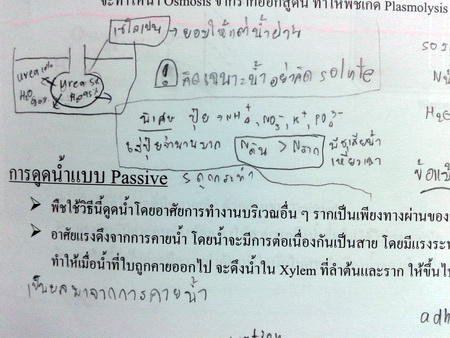 หนังสือหมอพิชญ์ไบโอบีม Basic Biology (OPD) : Biology of Plants