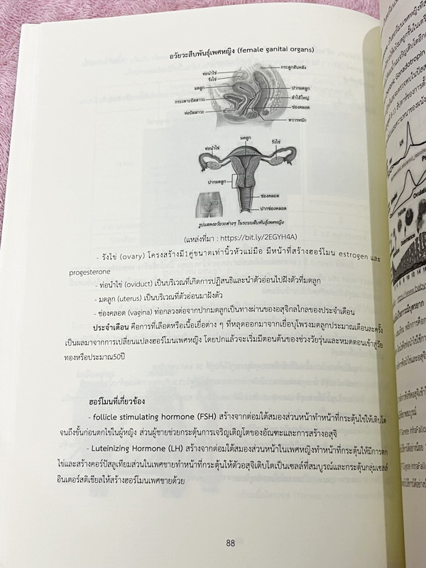 ►สอบเข้าเตรียมอุดม◄ SARMSSEA เล่ม1-2 เรียบเรียงโดย น.ร.รุ่นพี่โรงเรียนเตรียมอุดมศึกษา หนังสือสรุปเนื้อหาสำคัญวิชาวิทยาศาสตร์ คณิศาสตร์ ภาษาไทยภาษาอังกฤษ สังคม พร้อมแบบฝึกหัดและคำอธิบายเฉลยละเอียด มีเนื้อหาเพื่อเตรียมสอบเข้า ร.ร.เตรียมอุดมศึกษาโดยเฉพาะ มี