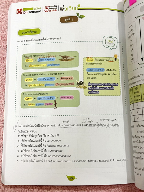 ►A-Level◄ หนังสือกวดวิชาออนดีมานด์ Upskill อัพสกิลชีววิทยา A-Level เล่ม 1-2 มีสรุปเนื้อหาสำคัญสั้นๆกระชับ เพื่อใช้เตรียมสอบ ม.ปลาย A-Level มีโจทย์เยอะมาก จดบางหน้า จดละเอียด ไม่มีเฉลย หนังสือเล่มใหญ่