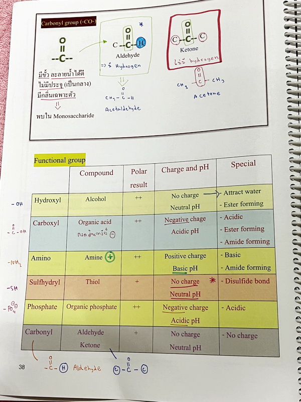 ►หมอพิชญ์ Biobeam◄ หนังสือเรียนชีววิทยา คอร์ส ICU ไอซียู ครบเซ็ท 8 เล่ม พร้อมไฟล์จดเนื้อหาครบทั้งเซ็ทแบบละเอียดมากครบทั้ง 8 เล่ม และไฟล์ชีทเสริม ในหนังสือเล่ม 1-3 มีจดบางหน้า จดละเอียด เล่ม 4-8 มีจดเล็กน้อย แบบฝึกหัดประจำบทมีจดเฉลยบางข้อ ส่วนข้อที่ไม่ได้จ