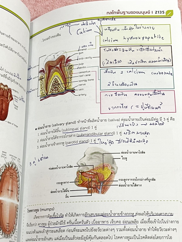 ►ออนดีมานด์◄ Set หนังสือเรียนพิเศษ + ไฟล์เฉลย วิชาวิทยาศาสตร์ ม.ต้น ชีววิทยาพี่วิเวียน เล่ม 1-8 ครบเซ็ท 8 เล่ม ครอบคลุมเนื้อหาตั้งแต่ระดับชั้นม.ต้น ม.1-2-3 เนื้อหายากลึกถึงสอบเข้า ม.4 โรงเรียนดัง จดบางหน้า จดละเอียด มีจดเทคนิคลัดการทำโจทย์ หนังสือพิมพ์สีใ