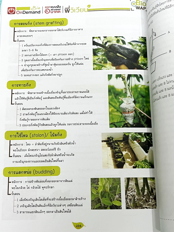 ►สอบเข้ากำเนิดวิทย์, มหิดล,เตรียมอุดม◄ หนังสือกวดวิชาออนดีมานด์ พี่วิเวียน ติวเข้มเนื้อหาชีววิทยา สอบเข้าเตรียมอุดม มหิดล กำเนิดวิทย์ และโรงเรียนแข่งขันสูง มีสรุปเนื้อหาและโจทย์แบบฝึกหัดประจำบท โจทย์มีความยากระดับ Advanced เหมาะสำหรับเด็กที่มีพื้นฐานดี โจ