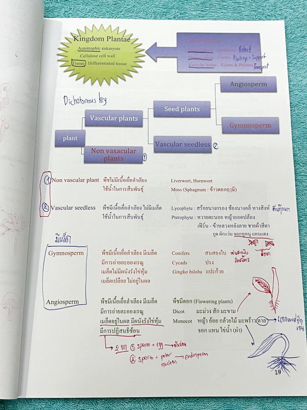 ►หนังสือเรียนชีวะ ม.ต้น◄ หนังสือกวดวิชาหมอพิชญ์ไบโอบีม Fundamental Coma สรุปเนื้อหาของชีวะ ม.ต้นแบบกระชับสั้นๆทั้งหมดในเล่มเดียว เนื้อหายากลึกถึงเตรียมตัวสอบเข้า ม.4 โรงเรียนดัง จดครบเกือบทั้งเล่ม จดละเอียด หนังสือพิมพ์สีสวยงามเกือบทั้งเล่ม