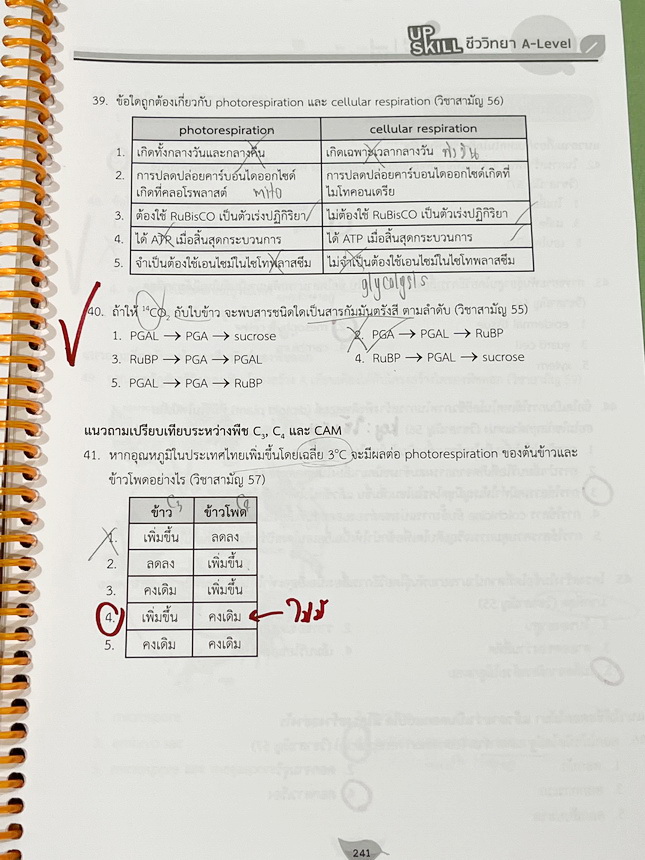 ►ชีววิทยา A-Level◄ หนังสือกวดวิชาออนดีมานด์ Upskill อัพสกิลชีววิทยา A-Level เล่ม 1-2 มีสรุปเนื้อหาสำคัญสั้นๆกระชับ เพื่อใช้เตรียมสอบ ม.ปลาย A-Level มีโจทย์เยอะมาก จดครบเกือบทั้งเล่ม จดละเอียด มีจดเน้นจุดที่ออกสอบบ่อยๆ หนังสือเล่มใหญ่ หนังสือใส่ปกสันเกลียว