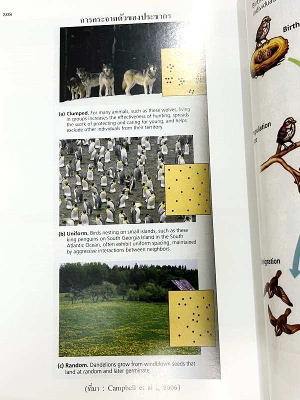 ►Eureka◄ หนังสือกวดวิชาชีววิทยา ม.ปลาย อ.เอกฤทธิ์ ยูเรก้า + สมุดโน้ตในคอร์สเรียน 1 เล่ม ในหนังสือเน้นภาพสี กราฟ ตาราง และแผนภาพเกี่ยวกับวิชาชีววิทยาในระดับชั้น ม.ปลายรวมทุกบท ส่วนใหญ่ใช้ภาษาอังกฤษ และภาษาละตินประกอบคำอธิบาย หนังสือเล่มหนาใหญ่ มีน้ำหนัก พิ