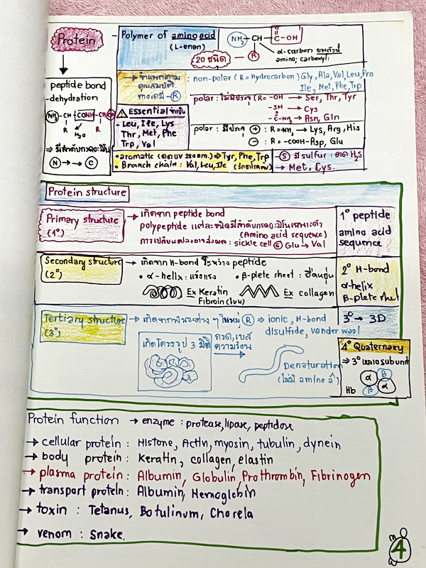 ►หมอพิชญ์ Biobeam◄ Art Beam Shortnote อาร์ทบีม หมอพิชญ์ไบโอบีม หนังสือสรุปเนื้อหาวิชาชีววิทยาทั้งหมดในระดับชั้น ม.ปลาย ทั้งเล่มเขียนด้วยลายมือของหมอพิชญ์ // อาจารย์ลงมือเขียนและวาดรูปเองทุกหน้า หนังสือมีสภาพยับเล็กน้อย หนังสือพิมพ์สีสวยงาม ใช้กระดาษอาร์ทม