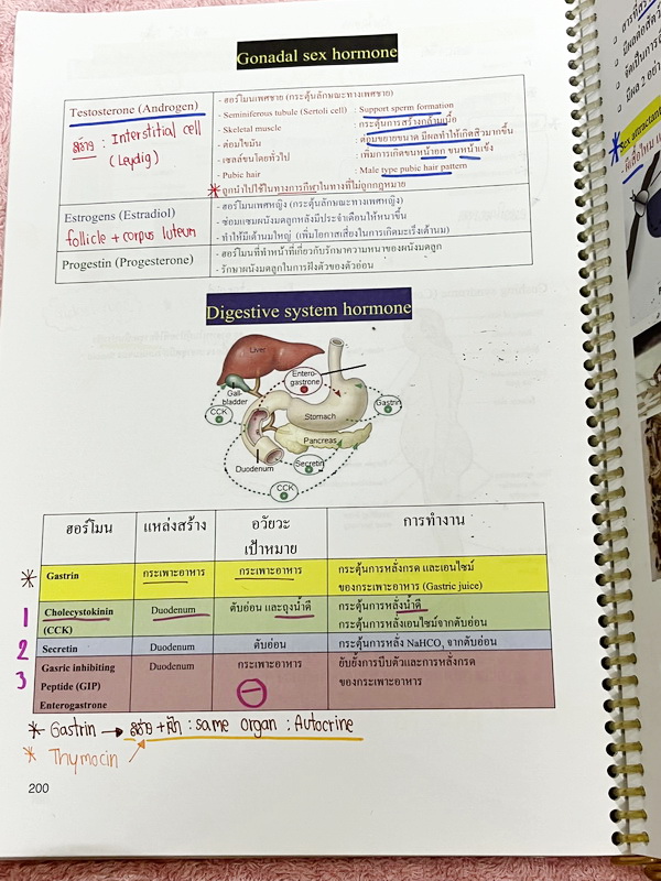 ►หมอพิชญ์ Biobeam◄ หนังสือเรียนชีววิทยา คอร์ส ICU ไอซียู ครบเซ็ท 8 เล่ม พร้อมไฟล์จดเนื้อหาครบทั้งเซ็ทแบบละเอียดมากครบทั้ง 8 เล่ม และไฟล์ชีทเสริม ในหนังสือเล่ม 1-6 จดครบเกือบทั้งเล่ม จดละเอียด มีวาดภาพประกอบเนื้อหาเยอะมาก , เล่ม 7-8 มีจดเล็กน้อย แบบฝึกหัดป