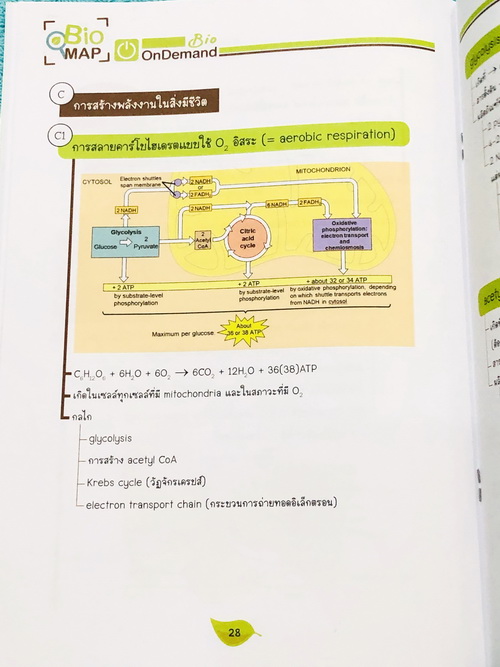 ►Bio Map Mini◄ ออนดีมานด์ พี่วิเวียน สรุปชีววิทยาฉบับพกพา มีสรุปเนื้อหาสำคัญ หนังสือพิมพ์สีทั้งเล่ม มีลำดับหัวข้อที่ชอบออกสอบบ่อยๆในข้อสอบ PAT2 มีเทคนิคลัดเยอะมาก หนังสือตีพิมพ์สมบูรณ์ทั้งเล่ม ในหนังสือมีเขียนเล็กน้อย