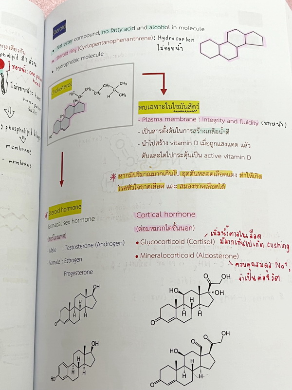 ►หมอพิชญ์ Biobeam◄ หนังสือกวดวิชาปี 2566 หมอพิชญ์ไบโอบีม ICU ไอซียู ครบเซ็ท 8 เล่ม สรุปเนื้อหาทั้งหมดในระดับชั้น ม.ปลาย ม.4-5-6 เนื้อหายากลึกถึงเตรียมตัวสอบเข้ามหาวิทยาลัย สอบแพทย์ TPAT 1 มีโจทย์ประจำบท ในหนังสือจดครบเกือบทั้งเล่ม จดละเอียด โจทย์มีจดเฉลยค