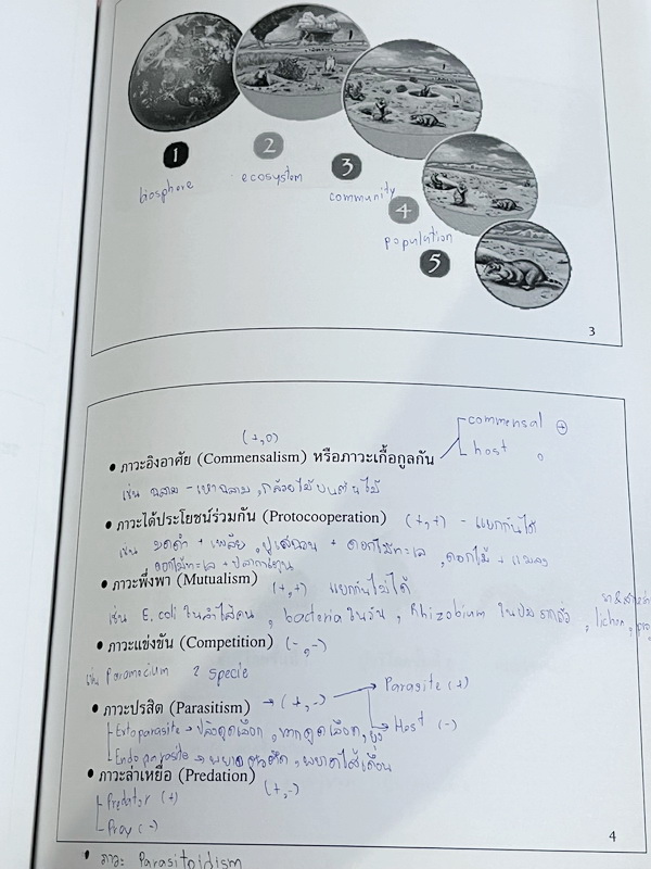 ►ครูพี่อร◄ ครูอติพร โค้งสุดท้าย ชีวะม.ต้น สรุปเนื้อหาวิชาชีววิทยาระดับชั้น ม.1-ม.3 มีจดครบเกือบทั้งเล่ม จดละเอียด ด้านหลังมีโจทย์แบบฝึกหัด มีจดเฉลยครบเกือบทุกข้อ อาจารย์มีเน้นย้ำจุดสำคัญที่ควรจำ ควรใส่ใจเป็นพิเศษ