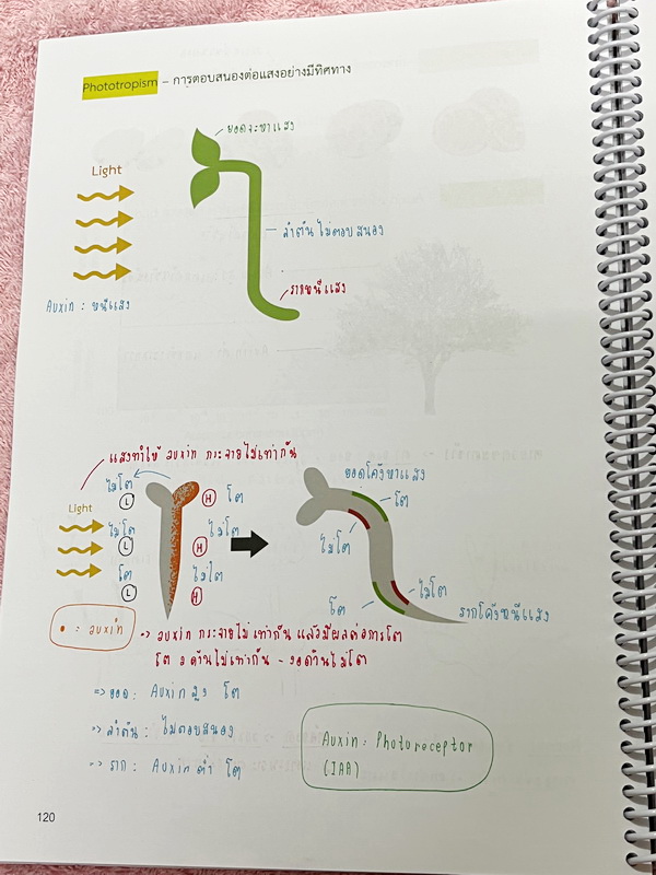 ►หมอพิชญ์ Biobeam◄ หนังสือกวดวิชาปี 2566 หมอพิชญ์ไบโอบีม ICU ไอซียู ครบเซ็ท 8 เล่ม สรุปเนื้อหาทั้งหมดในระดับชั้น ม.ปลาย ม.4-5-6 เนื้อหายากลึกถึงเตรียมตัวสอบเข้ามหาวิทยาลัย สอบแพทย์ TPAT 1 มีโจทย์ประจำบท ในหนังสือจดครบเกือบทั้งเล่ม จดละเอียด โจทย์มีจดเฉลยค