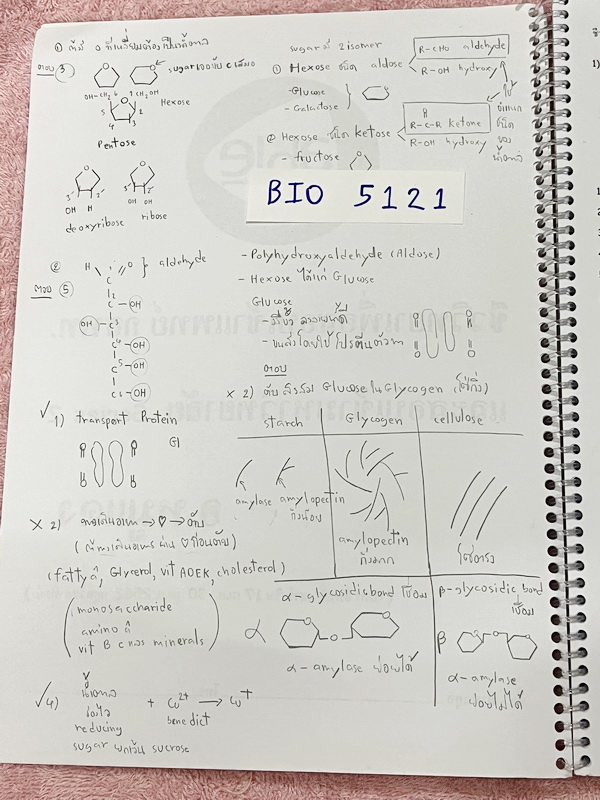 ►อ.หมูแดง◄ BIO 5121 หนังสือกวดวิชาชีววิทยา อ.หมูแดง ชีววิทยาเพื่อสอบเข้าแพทย์ กสพท. และสอบเข้ามหาวิทยาลัย Series 2 จดครบเกือบทั้งเล่ม มีวาดภาพประกอบเนื้อหาหลายหน้า มีจดเฉลยในกระดาษฝั่งซ้ายของหนังสือ จดละเอียด หนังสือใส่ปกสันเกลียว เปิดอ่านง่าย