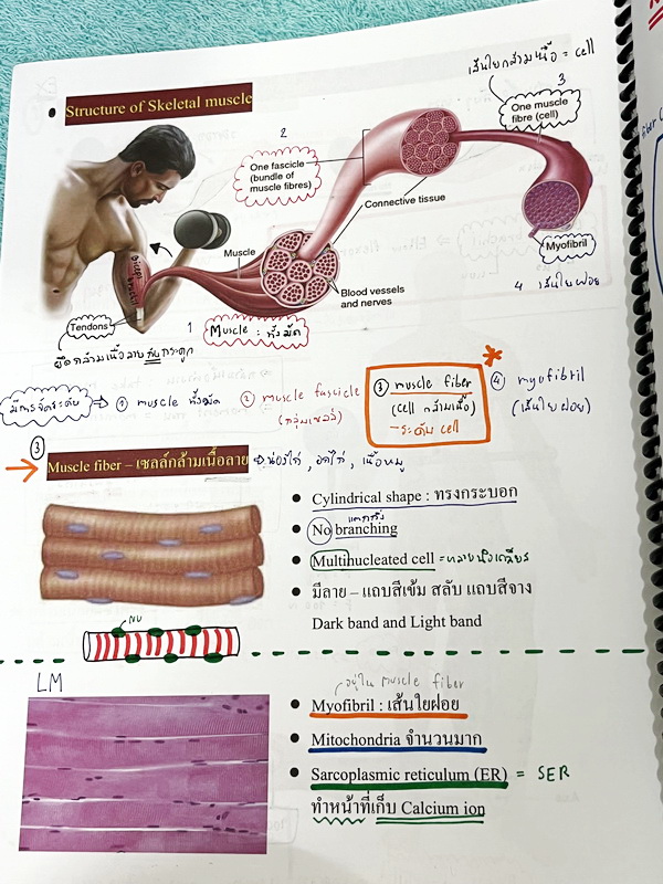 ►หมอพิชญ์ Biobeam◄ หนังสือเรียนวิชาชีววิทยาคอร์ส ICU ไอซียู ครบเซ็ท 8 เล่ม สรุปเนื้อหาระดับชั้น ม.ปลาย ทั้งหมด เนื้อหาครอบคลุมระดับชั้น ม.4-5-6 เพื่อเตรียมตัวสอบเข้ามหาวิทยาลัย สอบแพทย์ กสพท. มีโจทย์และโจทย์ข้อสอบจริงประจำบท ในหนังสือเล่ม 1-5 จดครบเกือบทั