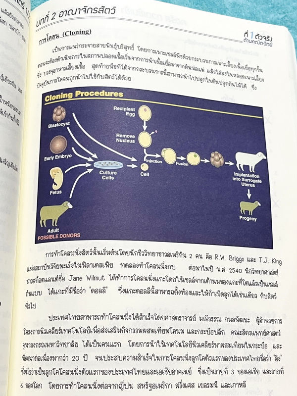 ►สอบเข้าม.1◄ พี่โอ๋โอพลัส Oplus กวดเข้มเข้า ม.1 วิทยาศาสตร์เล่ม 1+2 มีสรุปเนื้อหาและข้อสอบคัดเลือกสอบเข้า ม.1 โรงเรียนดัง ในหนังสือมีจดบางหน้า จดละเอียดมาก เนื้อหาตีพิมพ์สมบูรณ์ทั้งเซ็ท ด้านหลังมีเฉลยครบทุกข้อ หนังสือพิมพ์สีบางหน้า หนังสือเล่มหนาใหญ่
