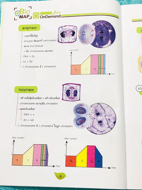 ►Bio Map Mini◄ ออนดีมานด์ พี่วิเวียน สรุปชีววิทยาฉบับพกพา มีสรุปเนื้อหาสำคัญ หนังสือพิมพ์สีทั้งเล่ม มีลำดับหัวข้อที่ชอบออกสอบบ่อยๆในข้อสอบ PAT2 มีเทคนิคลัดเยอะมาก หนังสือตีพิมพ์สมบูรณ์ทั้งเล่ม ในหนังสือมีเขียนเล็กน้อย