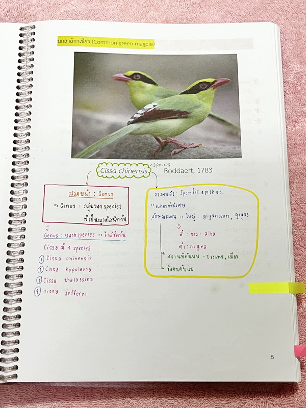 ►หมอพิชญ์ Biobeam◄ หนังสือกวดวิชาปี 2566 หมอพิชญ์ไบโอบีม ICU ไอซียู ครบเซ็ท 8 เล่ม สรุปเนื้อหาทั้งหมดในระดับชั้น ม.ปลาย ม.4-5-6 เนื้อหายากลึกถึงเตรียมตัวสอบเข้ามหาวิทยาลัย สอบแพทย์ TPAT 1 มีโจทย์ประจำบท ในหนังสือจดครบเกือบทั้งเล่ม จดละเอียด โจทย์มีจดเฉลยค