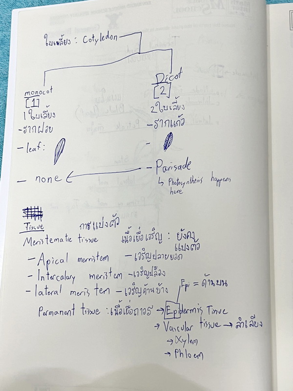 ►สอบ สอวน. ,สอบแข่งขันขึ้น ม.4◄ หนังสือเรียน Dr.POK ชีววิทยาสอบ สอวน. สอบแข่งขันขึ้น ม.4 สอบ SAT2 เรื่องพืช มีสรุปเนื้อหา และโจทย์ระดับยาก Advanced ทั้งเนื้อหาและโจทย์ในหนังสือมีทั้งภาษาไทย + ภาษาอังกฤษ เหมาะสำหรับเด็กที่มีพื้นฐานสูง เนื้อหาตีพิมพ์สมบูรณ์