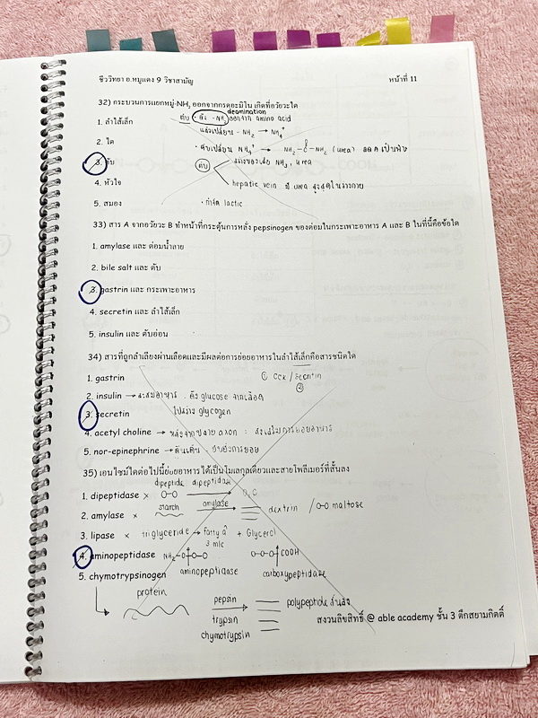 ►อ.หมูแดง◄ หนังสือกวดวิชาชีววิทยา Able Academy อ.หมูแดง เพื่อสอบเข้าแพทย์ กสพท. และสอบเข้ามหาวิทยาลัย Series 2 จดครบเกือบทั้งเล่ม จดละเอียด หนังสือใส่ปกสันเกลียว เปิดอ่านง่าย