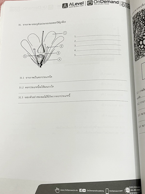 ►สอบเข้ามหิดลรอบ 2◄ หนังสือเรียนพิเศษออนดีมานด์ ติวโค้งสุดท้ายสู่มหิดลวิทยานุสรณ์ รอบ 2 รวม 4 วิชา 4 อาจารย์ วิชาคณิตศาสตร์ เคมี ชีววิทยา ฟิสิกส์ มีสถิติการออกข้อสอบมหิดล รอบ 2 ย้อนหลัง มีตารางสรุปข้อสอบที่ชอบออกมากที่สุด ในหนังสือมีโจทย์ข้อสอบทั้ง 4 วิชา