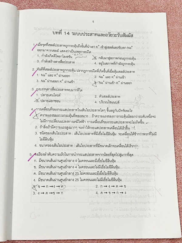 ►หนังสือเรียนโรงเรียนเตรียมอุดม◄ เอกสารประกอบการเรียนโจทย์เสริมทักษะวิชาชีววิทยา ม.6 ตะลุยโจทย์ทั้งเล่ม จัดทำโดยกลุ่มสาระการเรียนรู้วิทยาศาสตร์ มีโจทย์เข้มข้น จดบางหน้า ไม่มีเฉลย
