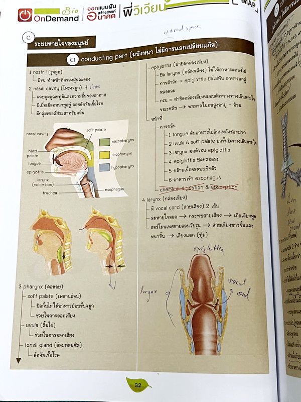 ►ชีววิทยา ม.ปลาย◄ หนังสือกวดวิชาออนดีมานด์ ชีววิทยาพี่วิเวียน TCAS ครบเซ็ท 6 เล่ม + ไฟล์โจทย์ข้อสอบปี 2565-2566 และเฉลยละเอียด - ในหนังสือมีสรุปเนื้อหาวิชาชีววิทยา ม.ปลายอย่างละเอียด เนื้อหาครอบคลุมตั้งแต่ระดับชั้น ม.4-5-6 เนื้อหาลึกถึงสอบเข้ามหาลัย หนังส