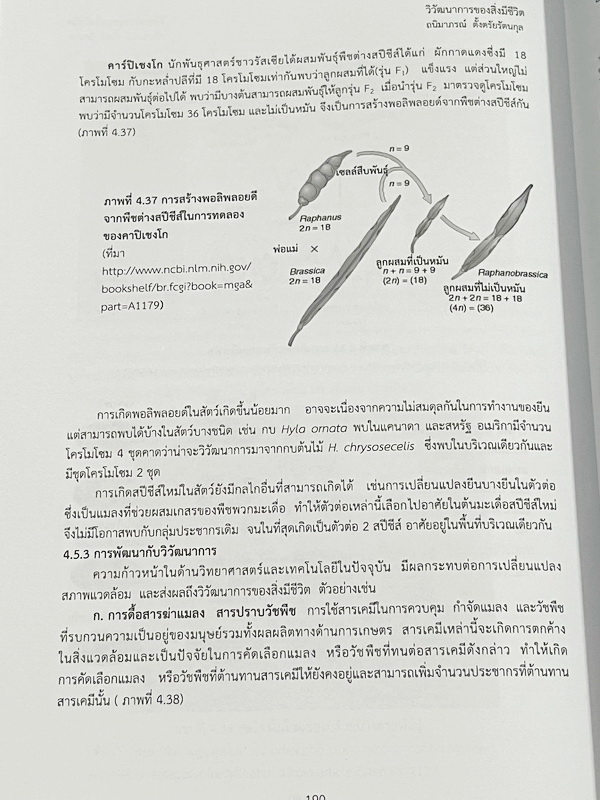 ►หนังสือเรียนโรงเรียนเตรียมอุดม◄ เอกสารประกอบการเรียนรายวิชาวิทยาศาสตร์ ชีววิทยา6 ระดับชั้น ม.6 จัดทำโดยกลุ่มสาระการเรียนรู้วิทยาศาสตร์ มีสรุปเนื้อหาและโจทย์แบบทดสอบ โจทย์เข้มข้น จดบางหน้า ไม่มีเฉลย หนังสือเล่มหนาใหญ่