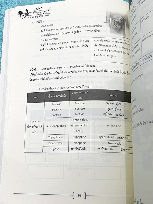 ►หนังสือรุ่นพี่เตรียมอุดม◄ Aurora หนังสือสรุปวิทยาศาสตร์ ม.ต้น เพื่อใช้สอบเข้า ม.4 ร.ร.ชั้นนำทั่วประเทศ สรุปเนื้อหาวิทย์ครบทุกวิชาชีวะ ฟิสิกส์ เคมี วิทย์กายภาพ มี GS Point เทคนิคการจำลัดสอดแทรกตามหน้าต่างๆ มีข้อสอบทบทวนทุกวิชา พร้อมเฉลย+เฉลยละเอียด ในหนัง