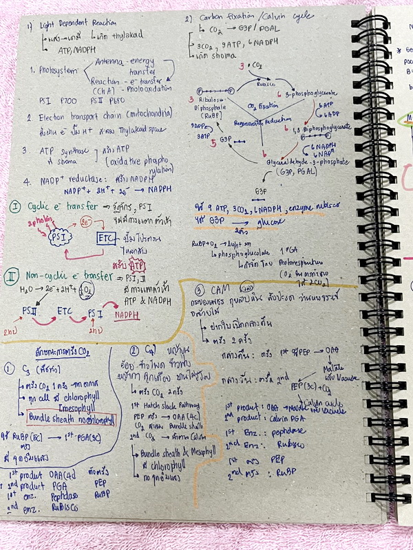 ►Eureka◄ หนังสือกวดวิชาชีววิทยา ม.ปลาย อ.เอกฤทธิ์ ยูเรก้า + สมุดโน้ตในคอร์สเรียน 1 เล่ม ในหนังสือเน้นภาพสี กราฟ ตาราง และแผนภาพเกี่ยวกับวิชาชีววิทยาในระดับชั้น ม.ปลายรวมทุกบท ส่วนใหญ่ใช้ภาษาอังกฤษ และภาษาละตินประกอบคำอธิบาย หนังสือเล่มหนาใหญ่ มีน้ำหนัก พิ
