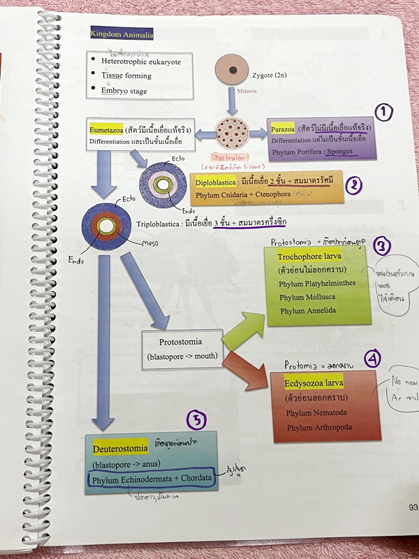 ►หมอพิชญ์ Biobeam◄ Set หนังสือคอร์ส Coma 2 เล่ม ประกอบด้วยเล่มสรุปเนื้อหาและเล่ม Quiz ตะลุยโจทย์ - เล่มสรุปเนื้อหา มีสรุปชีววิทยาระดับชั้น ม.ปลายทั้งหมด เพื่อเตรียมตัวสอบเข้ามหาวิทยาลัย เนื้อหาตีพิมพ์สมบูรณ์ทั้งเล่ม จดครบเกือบทั้งเล่ม จดละเอียด หนังสือพิม