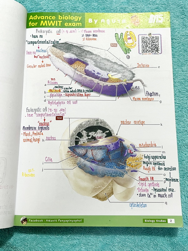 ►สอบเข้า MWIT◄ ครูพี่บาส Advanced Biology for MWIT Exam + ชีทเสริม หนังสือสรุปเนื้อหาวิชาชีววิทยาเพื่อสอบเข้า ม.4 มหิดล มีโจทย์ข้อสอบและแนวข้อสอบที่น่าสนใจ ในหนังสือจดครบเกือบทั้งเล่ม จดละเอียด จดเป็นระเบียบ ตั้งใจเรียน ชีทเสริมมีจดครบทั้งหมด หนังสือพิมพ์