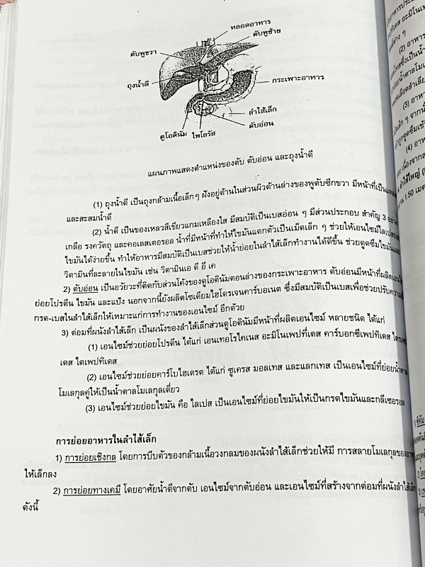 ►สอบเข้าม.1◄ หนังสือกวดวิชาครูพจน์ Gifted วิทยาศาสตร์เนื้อหาชีวะเล่ม1+2 ห้องกิ๊ฟเต็ด ป.6 มีสรุปเนื้อหาสำคัญ โจทย์มีความยากเข้มข้นระดับ Advaned ทั้งเนื้อหาและโจทย์มีความยากลึกถึงเตรียมตัวสอบเข้า ม.1 ร.ร.ดัง จดบางหน้า มีเฉลยละเอียดพร้อมเหตุผลอย่างละเอียดบาง