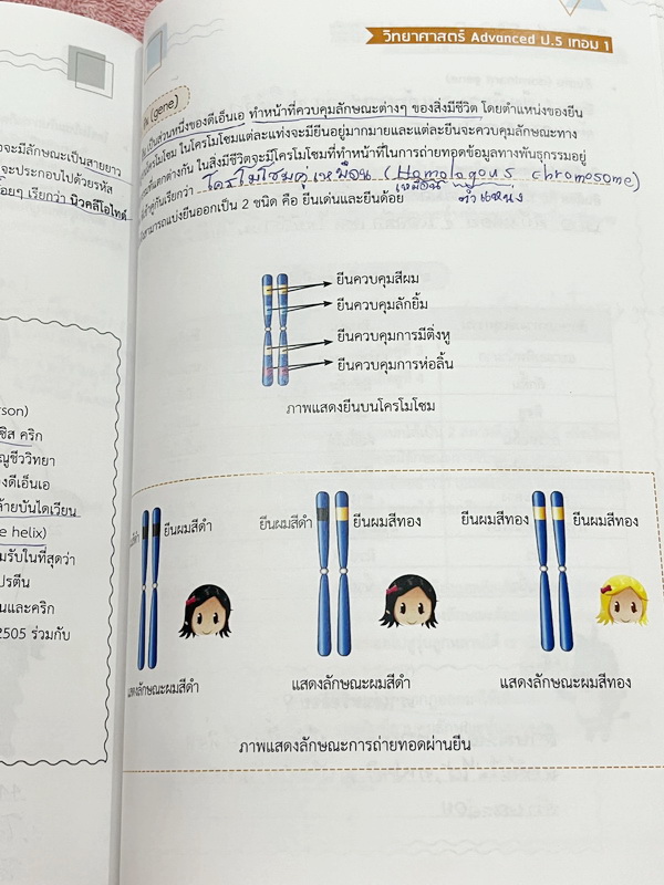 ►หนังสือเรียนประถม◄ หนังสือ Ondemand ออนดีมานด์ วิชาวิทยาศาสตร์ Advanced ป.5 เทอม 1 มีสรุปเนื้อหาสำคัญ มีโจทย์แบบทดสอบประจำบท จดครบเกือบทั้งเล่ม จดละเอียด