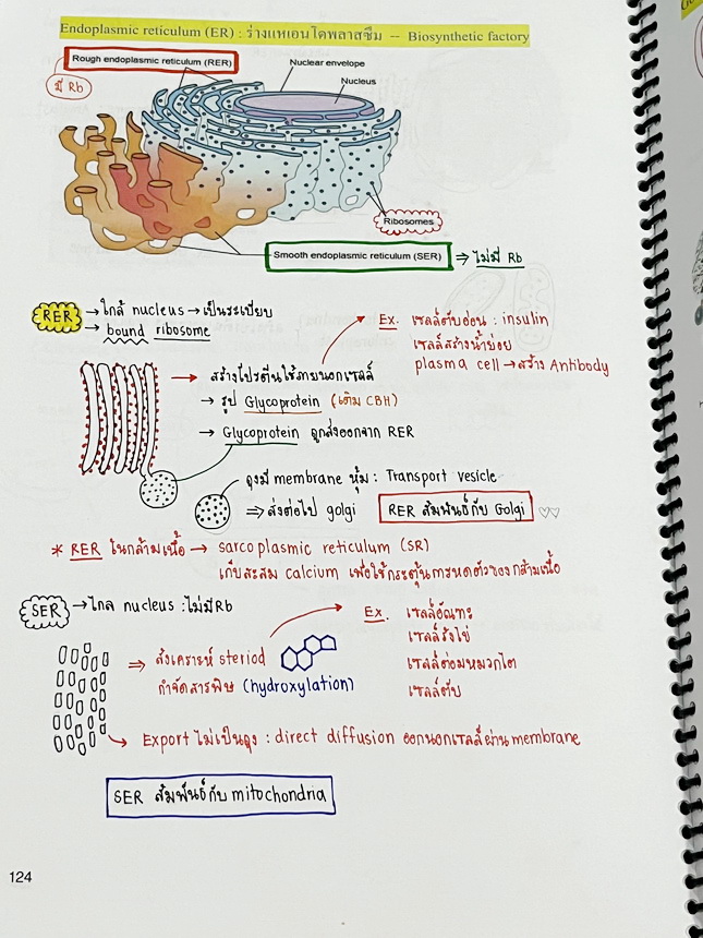 ►หมอพิชญ์ Biobeam◄ หนังสือเรียนชีววิทยา คอร์ส ICU ไอซียู ครบเซ็ท 8 เล่ม พร้อมไฟล์จดเนื้อหาครบทั้งเซ็ทแบบละเอียดมากครบทั้ง 8 เล่ม และไฟล์ชีทเสริม ในหนังสือจดครบเกือบทั้งเล่ม จดละเอียด มีวาดภาพประกอบเนื้อหาเยอะมาก แบบฝึกหัดประจำบทมีจดเฉลยบางข้อ เฉพาะเล่ม 8