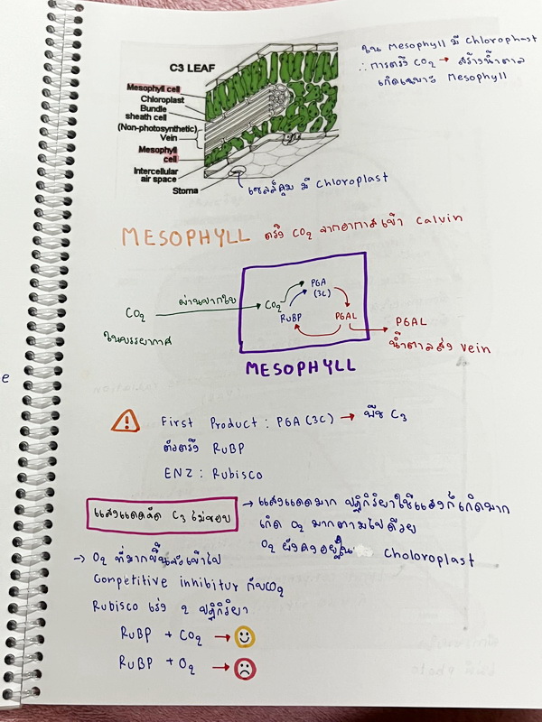 ►หมอพิชญ์ Biobeam◄ หนังสือเรียนชีววิทยา คอร์ส ICU ไอซียู ครบเซ็ท 8 เล่ม พร้อมไฟล์จดเนื้อหาครบทั้งเซ็ทแบบละเอียดมากครบทั้ง 8 เล่ม และไฟล์ชีทเสริม ในหนังสือเล่ม 1-3 มีจดบางหน้า จดละเอียด เล่ม 4-8 มีจดเล็กน้อย แบบฝึกหัดประจำบทมีจดเฉลยบางข้อ ส่วนข้อที่ไม่ได้จ
