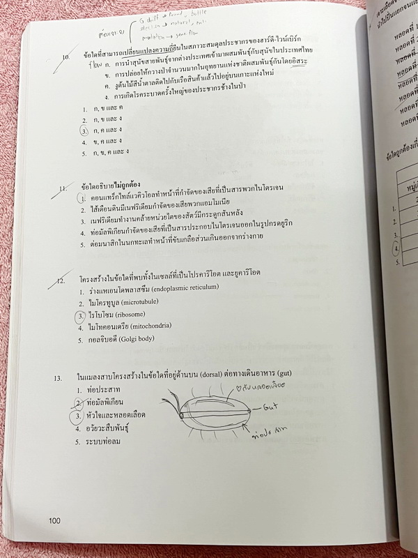 ►หมอพิชญ์ Biobeam◄ Set หนังสือคอร์ส Coma 2 เล่ม ประกอบด้วยเล่มสรุปเนื้อหาและเล่ม Quiz ตะลุยโจทย์ - เล่มสรุปเนื้อหา มีสรุปชีววิทยาระดับชั้น ม.ปลายทั้งหมด เพื่อเตรียมตัวสอบเข้ามหาวิทยาลัย เนื้อหาตีพิมพ์สมบูรณ์ทั้งเล่ม จดครบเกือบทั้งเล่ม จดละเอียด หนังสือพิม