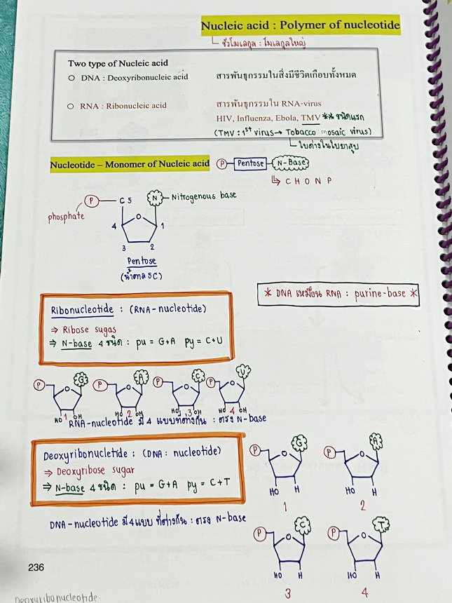 ►หมอพิชญ์ Biobeam◄ หนังสือเรียนชีววิทยา คอร์ส ICU ไอซียู ครบเซ็ท 8 เล่ม พร้อมไฟล์จดเนื้อหาครบทั้งเซ็ทแบบละเอียดมากครบทั้ง 8 เล่ม และไฟล์ชีทเสริม ในหนังสือจดครบเกือบทั้งเล่ม จดละเอียด มีวาดภาพประกอบเนื้อหาเยอะมาก แบบฝึกหัดประจำบทมีจดเฉลยบางข้อ เฉพาะเล่ม 8