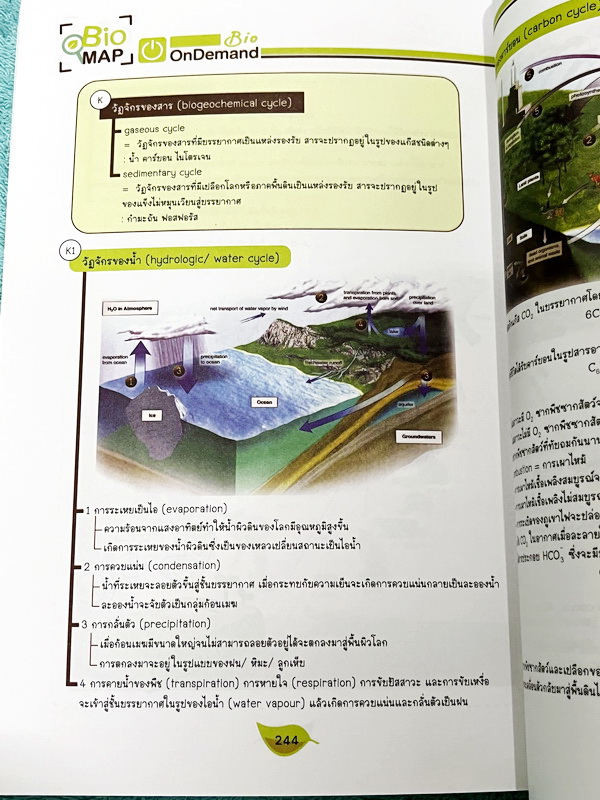 ►หนังสือสรุปชีววิทยา◄ หนังสือกวดวิชา Ondemand ออนดีมานด์ พี่วิเวียน นพ.วีรวัช Biomap ชีววิทยาเล่ม 1+2 สรุปเนื้อหาวิชาชีววิทยาระดับชั้น ม.ปลายทั้งหมด ครอบคลุมเนื้อหาตั้งแต่ชั้น ม.4-5-6 เนื้อหาลึกถึงสอบเข้ามหาวิทยาลัย เนื้อหาตีพิมพ์สมบูรณ์ หนังสือพิมพ์สีสวย