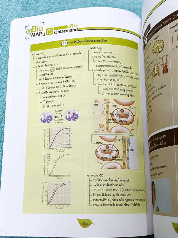 ►หนังสือสรุปชีววิทยา◄ หนังสือกวดวิชา Ondemand ออนดีมานด์ พี่วิเวียน นพ.วีรวัช Biomap ชีววิทยาเล่ม 1+2 สรุปเนื้อหาวิชาชีววิทยาระดับชั้น ม.ปลายทั้งหมด ครอบคลุมเนื้อหาตั้งแต่ชั้น ม.4-5-6 เนื้อหาลึกถึงสอบเข้ามหาวิทยาลัย เนื้อหาตีพิมพ์สมบูรณ์ หนังสือพิมพ์สีสวย