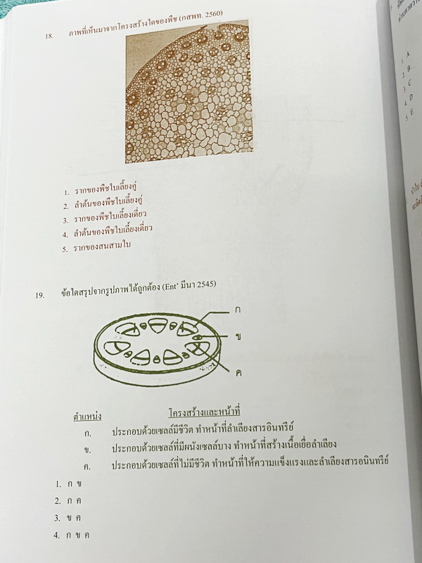 ►หมอพิชญ์ Biobeam◄ หนังสือเรียนวิชาชีววิทยาคอร์ส ICU ไอซียู ครบเซ็ท 8 เล่ม สรุปเนื้อหาระดับชั้น ม.ปลาย ทั้งหมด เนื้อหาครอบคลุมระดับชั้น ม.4-5-6 เพื่อเตรียมตัวสอบเข้ามหาวิทยาลัย สอบแพทย์ กสพท. มีโจทย์และโจทย์ข้อสอบจริงประจำบท ในหนังสือเล่ม 1-5 จดครบเกือบทั