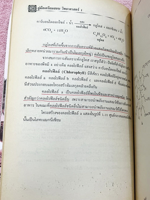 ►วิทยาศาสตร์ ม.ต้น◄ อ.สมพงศ์ วิทยาศาสตร์ ม.1-3 เล่ม 1-6 สรุปเนื้อหาอย่างละเอียดครบถ้วน มีแบบทดสอบ เฉลยละเอียดครบทุกข้อ หนังสือมีเขียนบางหน้า กระดาษเหลืองเก่าตามกาลเวลา หนังสือมีขนาดท่าฝ่ามือ