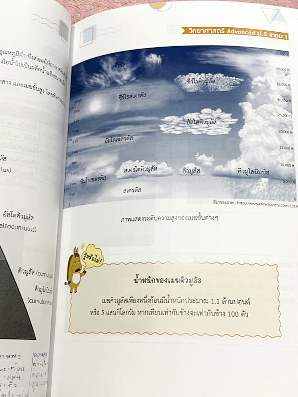 ►หนังสือเรียนประถม◄ หนังสือ Ondemand ออนดีมานด์ วิชาวิทยาศาสตร์ Advanced ป.5 เทอม 1 มีสรุปเนื้อหาสำคัญ มีโจทย์แบบทดสอบประจำบท จดครบเกือบทั้งเล่ม จดละเอียด