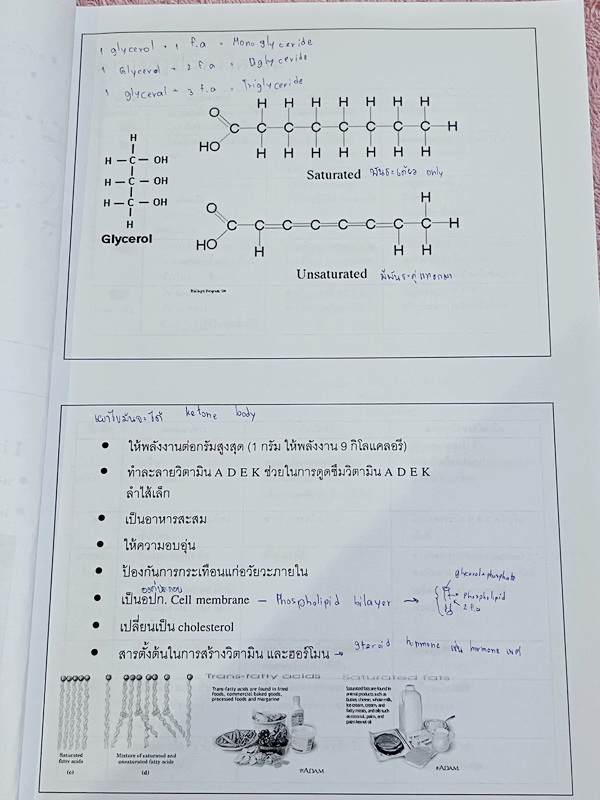►ครูพี่อร◄ ครูอติพร โค้งสุดท้าย ชีวะม.ต้น สรุปเนื้อหาวิชาชีววิทยาระดับชั้น ม.1-ม.3 มีจดครบเกือบทั้งเล่ม จดละเอียด ด้านหลังมีโจทย์แบบฝึกหัด มีจดเฉลยครบเกือบทุกข้อ อาจารย์มีเน้นย้ำจุดสำคัญที่ควรจำ ควรใส่ใจเป็นพิเศษ