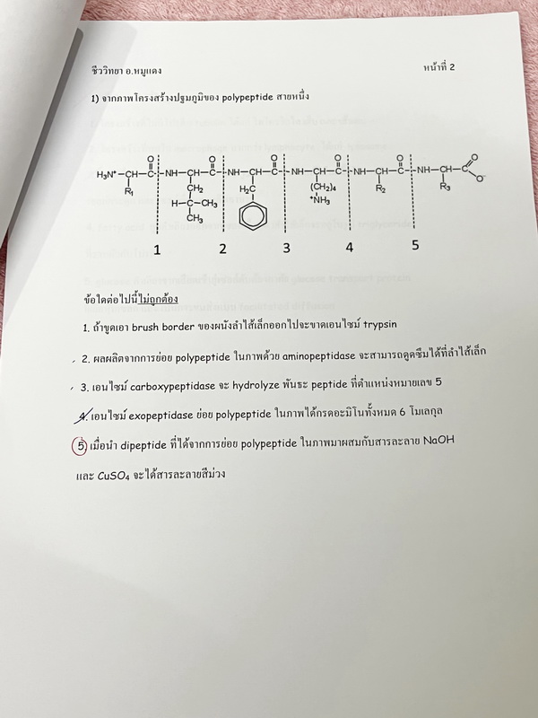 ►อ.หมูแดง◄ ชีววิทยาอาจารย์หมูแดง ข้อสอบแบบจับเวลา 3 ชุด + ข้อสอบพิเศษอีก 1 ชุด รวม 4 ชุด ชุดละ 50 ข้อ รวมทั้งหมด 200 ข้อ มีจดเฉลยครบเกือบทั้งหมด