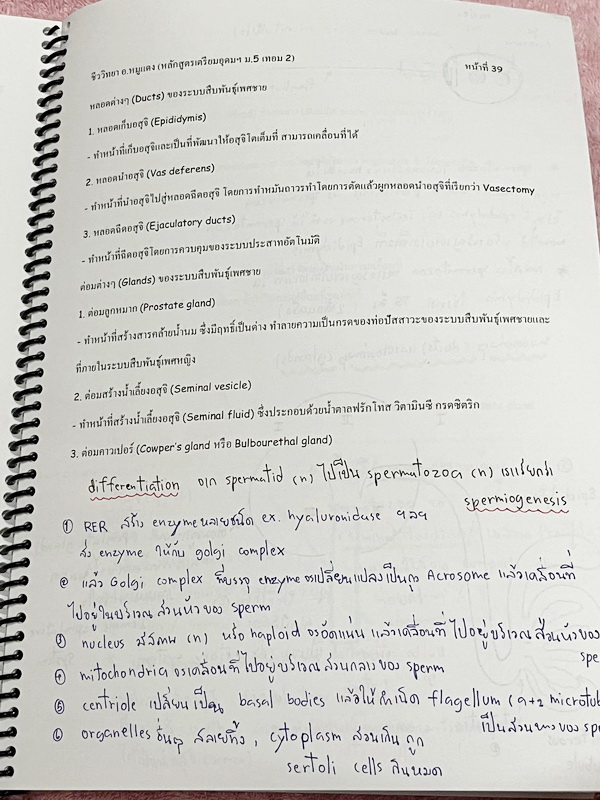 ►อ.หมูแดง◄ BIO 5120 หนังสือกวดวิชาชีววิทยา อ.หมูแดง ม.5 เทอม 2 หลักสูตรเตรียมอุดม จดครบเกือบทั้งเล่ม จดละเอียดมาก มีวาดภาพประกอบเนื้อหาหลายหน้า หนังสือพิมพ์สีสวยงาม หนังสือใส่ปกสันเกลียว เปิดอ่านง่าย