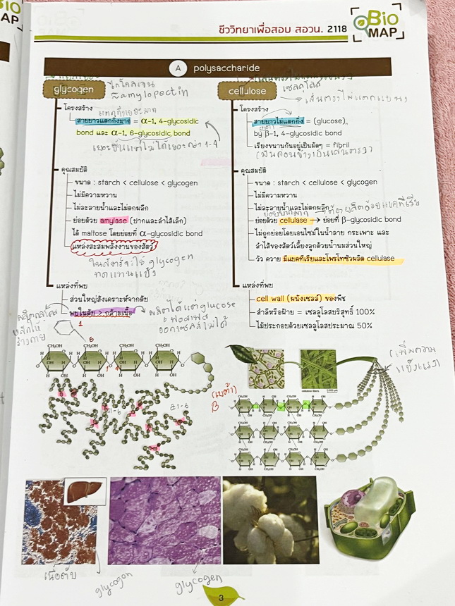 ►ชีววิทยาสอบ สอวน.◄ หนังสือเรียนออนดีมานด์ พี่วิเวียน ชีววิทยาเพื่อสอบ สอวน. สรุปเนื้อหาทั้งหมดเพื่อเตรียมตัวสอบ สอวน. เนื้อหาตีพิมพ์สมบูรณ์ทั้งหมด มีโจทย์ข้อสอบจริง สอวน. ทั้งเล่ม // หนังสือมีเขียนบางหน้า และไม่มีเฉลย หนังสือพิมพ์สวยงาม หนังสือเล่มหนาใหญ